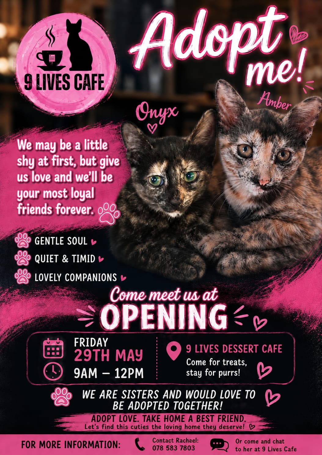 9 Lives Café photo 77